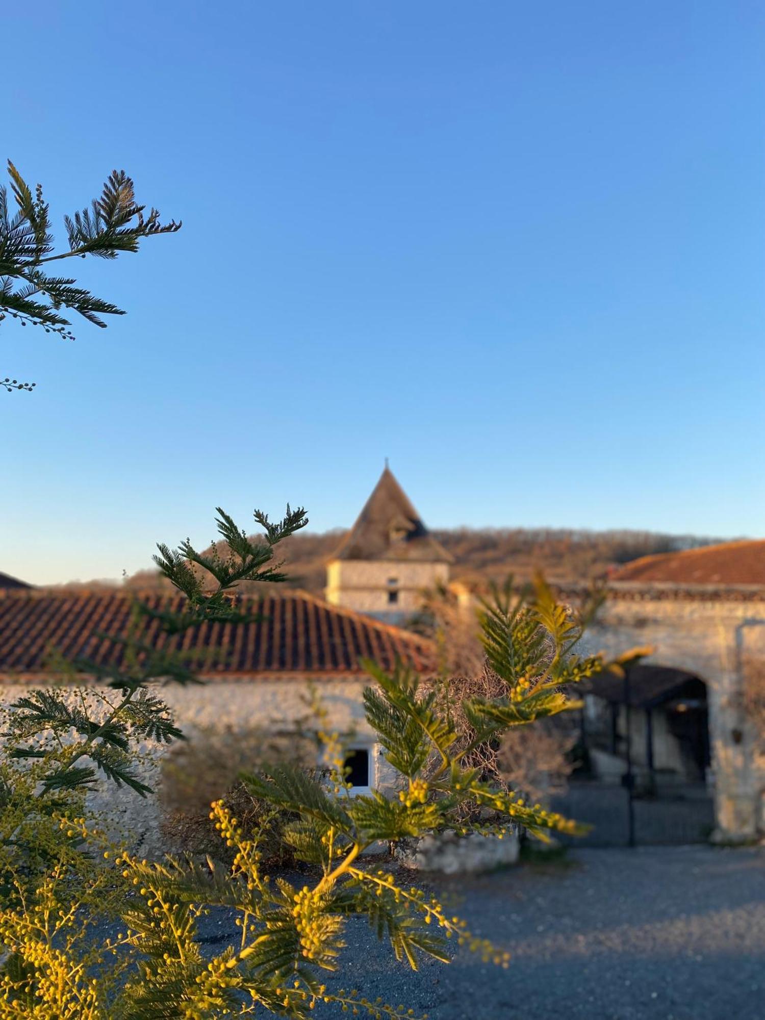 Готель Domaine De Villot Sainte-Colombe-de-Villeneuve Екстер'єр фото
